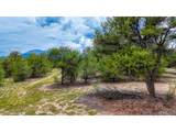 10766 Sawatch Range Rd - Photo 8