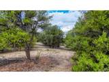 10766 Sawatch Range Rd - Photo 9