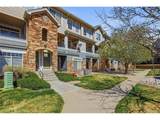 488 Black Feather Loop - Photo 1