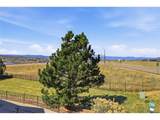 488 Black Feather Loop - Photo 27