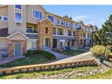 488 Black Feather Loop - Photo 28