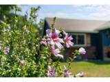 1142 Edinburgh Dr - Photo 50