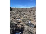 4875 Durante Rd - Photo 12