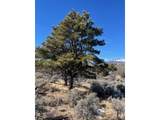 4875 Durante Rd - Photo 14