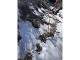 4875 Durante Rd - Photo 20