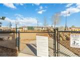 20 Wilcox St - Photo 36
