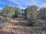 142 Silver Spurs Ranch - Photo 10