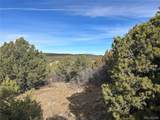142 Silver Spurs Ranch - Photo 13