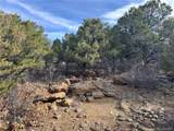 142 Silver Spurs Ranch - Photo 19