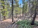 66 Ponderosa Dr - Photo 10