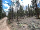 66 Ponderosa Dr - Photo 12