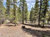 66 Ponderosa Dr - Photo 13