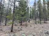 66 Ponderosa Dr - Photo 6