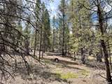 66 Ponderosa Dr - Photo 8