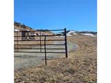 2559 Vista Grande Dr - Photo 14