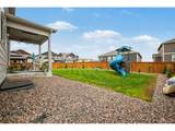 1244 Lily Mountain Rd - Photo 30