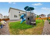 1244 Lily Mountain Rd - Photo 31
