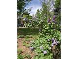 1680 Magnolia St - Photo 24