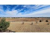 6567 Cottonwood Tree Dr - Photo 3