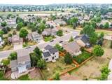 407 Balsa Dr - Photo 35