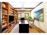 50 Albion St - Photo 16