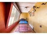 50 Albion St - Photo 44