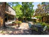 50 Albion St - Photo 45