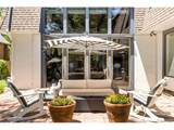 50 Albion St - Photo 47