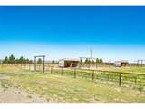 26493 County Road 21 - Photo 49