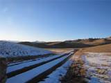 323 Idaho Trl - Photo 12