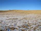 323 Idaho Trl - Photo 14