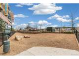 20 Wilcox St - Photo 31