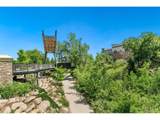 20 Wilcox St - Photo 38