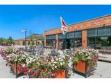 20 Wilcox St - Photo 41