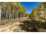 10575 Co-82 - Photo 12