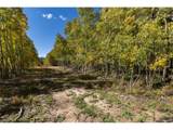 10575 Co-82 - Photo 13