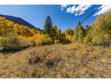 10575 Co-82 - Photo 8