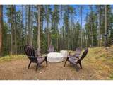 12025 Red Cloud Way - Photo 39