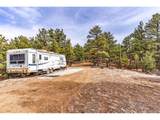 380 Buck Rdg - Photo 26