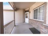 384 Audrey Dr - Photo 19