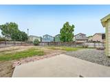 1058 Oriole Cir - Photo 50