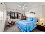 537 Chapparal Trl - Photo 16