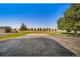 30185 166th Ave - Photo 42