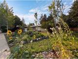 1307 Redwood Dr - Photo 30