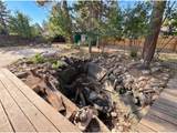 1307 Redwood Dr - Photo 41