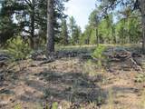 9736 Ranch Rd - Photo 3