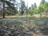9736 Ranch Rd - Photo 7