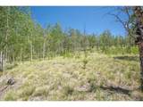 40 Brahma Ct - Photo 19