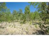 40 Brahma Ct - Photo 20