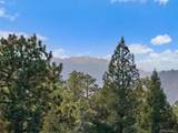 33884 Bergen View Trail - Photo 25